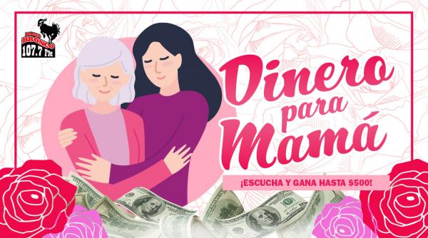 Promo DineroParaMama